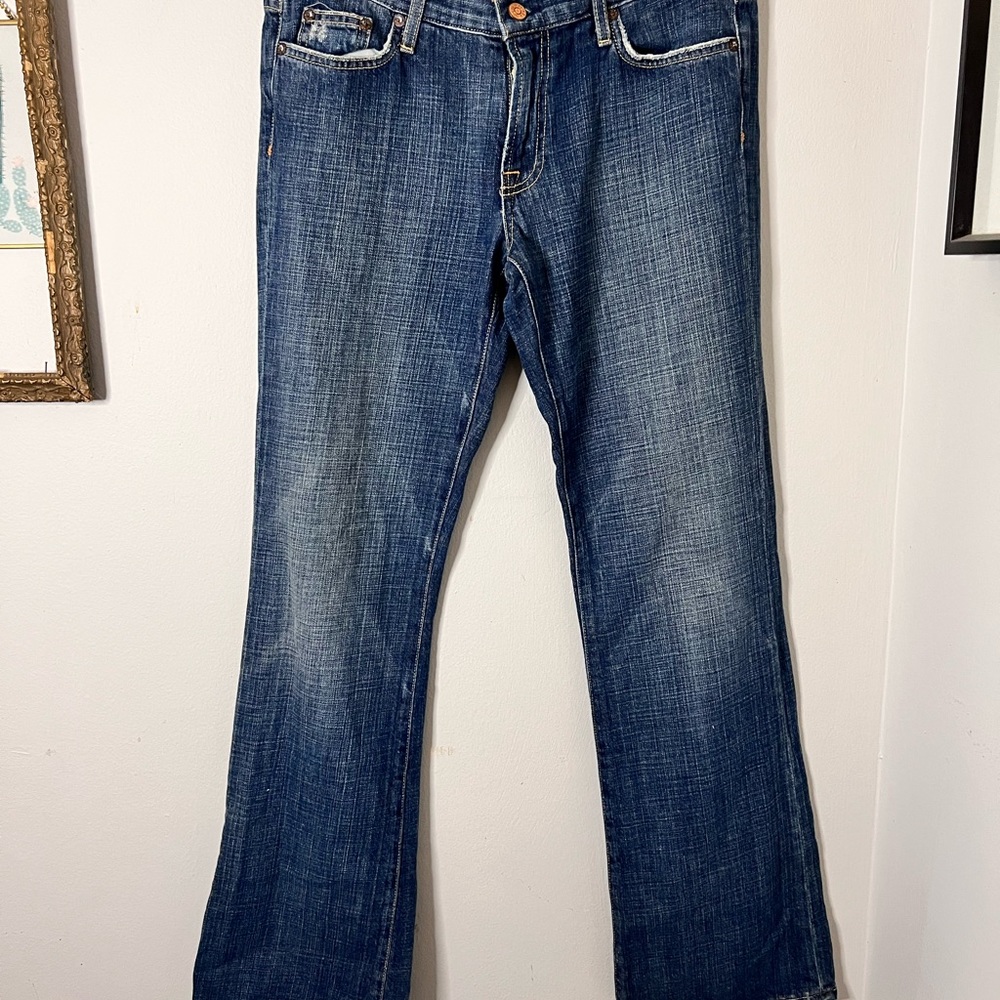 J Crew Hipslung 29 Jeans